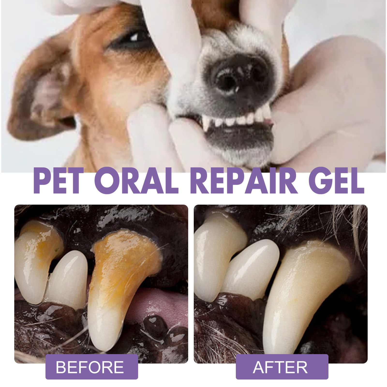 Pet Oral Repair Gel Puppy Tart - đánh giá và giá Teeth Whitening Hydrogen Peroxide
