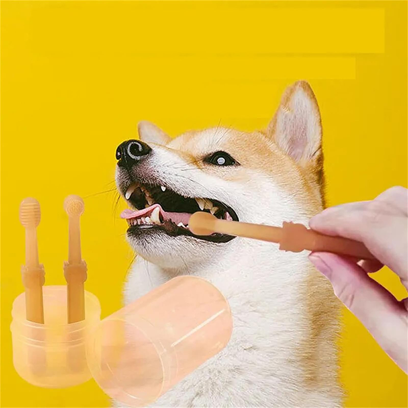 Teeth Whitening Dog Cat Silico - đánh giá và giá Teeth Whitening Toothpaste